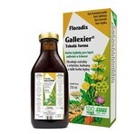 SALUS Floradix Gallexier 1×250 ml, forma liquida