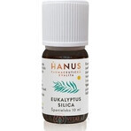 HANUS SILICA EUCALYPT 1×10 ml olio essenziale