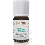 HANUS SILICA EUCALYPT 1×10 ml olio essenziale