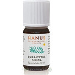 HANUS SILICA EUCALYPT 1×10 ml olio essenziale