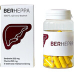 Berheppa 1×60 cps, complemento alimenticio