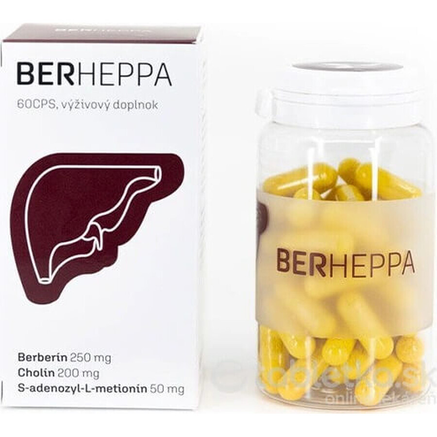 Berheppa 1×60 cps, complemento alimenticio