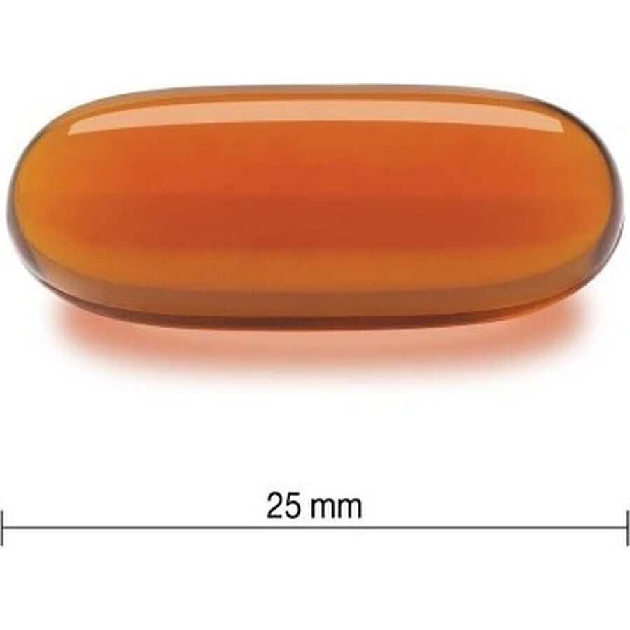 JAMIESON LECITIN 1200 mg 1×120 cps, food supplement