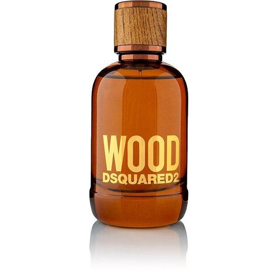 Dsquared Wood For Him Edt 100ml 1×100 ml, Eau de toilette