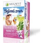 MEGAFYT Tisana per l'allattamento. 1×30 g (20×1,5 g), tisana al biancospino