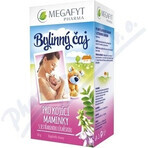 MEGAFYT Tisana per l'allattamento. 1×30 g (20×1,5 g), tisana al biancospino