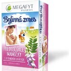 MEGAFYT Tisana per l'allattamento. 1×30 g (20×1,5 g), tisana al biancospino