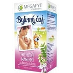 MEGAFYT Tisana per l'allattamento. 1×30 g (20×1,5 g), tisana al biancospino