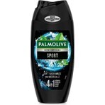 Duschgel Palmolive Men Revital.Sport 1×250 ml für Männer