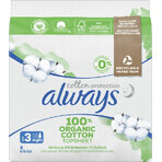 Always Cotton 8pcs 8pcs Night 1×8 pcs, Pads