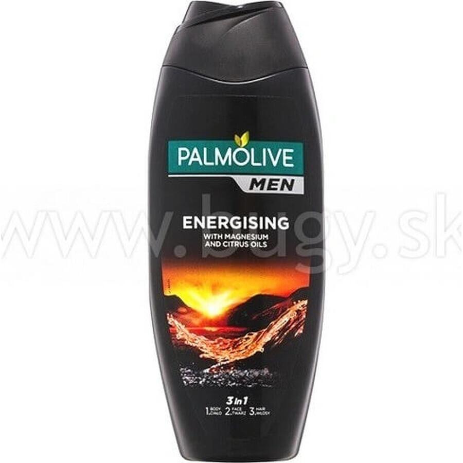 Palmolive Men Energising Duschgel 1×250 ml für Männer