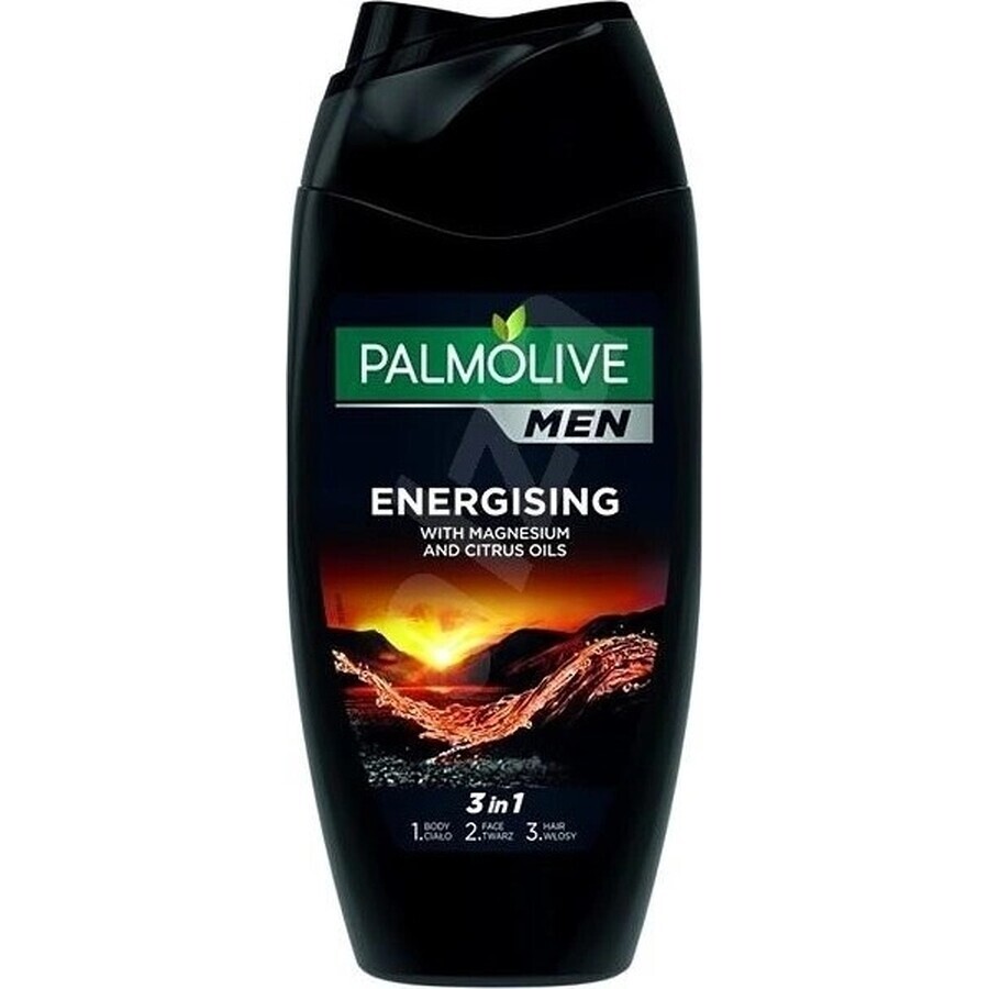 Palmolive Men Energising Duschgel 1×250 ml für Männer