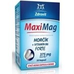 ZDROVIT MAXI MAG HORCIK+B6 FORTE 1×50 cps, complemento alimenticio