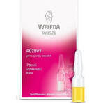 WELEDA ROSE facial oil in vials 7×0.8 ml, facial oil in vials