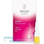 WELEDA ROSE facial oil in vials 7×0.8 ml, facial oil in vials