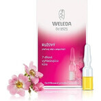 WELEDA ROSE facial oil in vials 7×0.8 ml, facial oil in vials