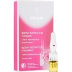 WELEDA ROSE facial oil in vials 7×0.8 ml, facial oil in vials