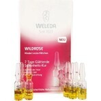 WELEDA ROSE facial oil in vials 7×0.8 ml, facial oil in vials