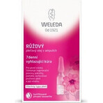 WELEDA ROSE facial oil in vials 7×0.8 ml, facial oil in vials