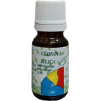 HANUS SILICA CEDAR 1×10 ml, olio essenziale