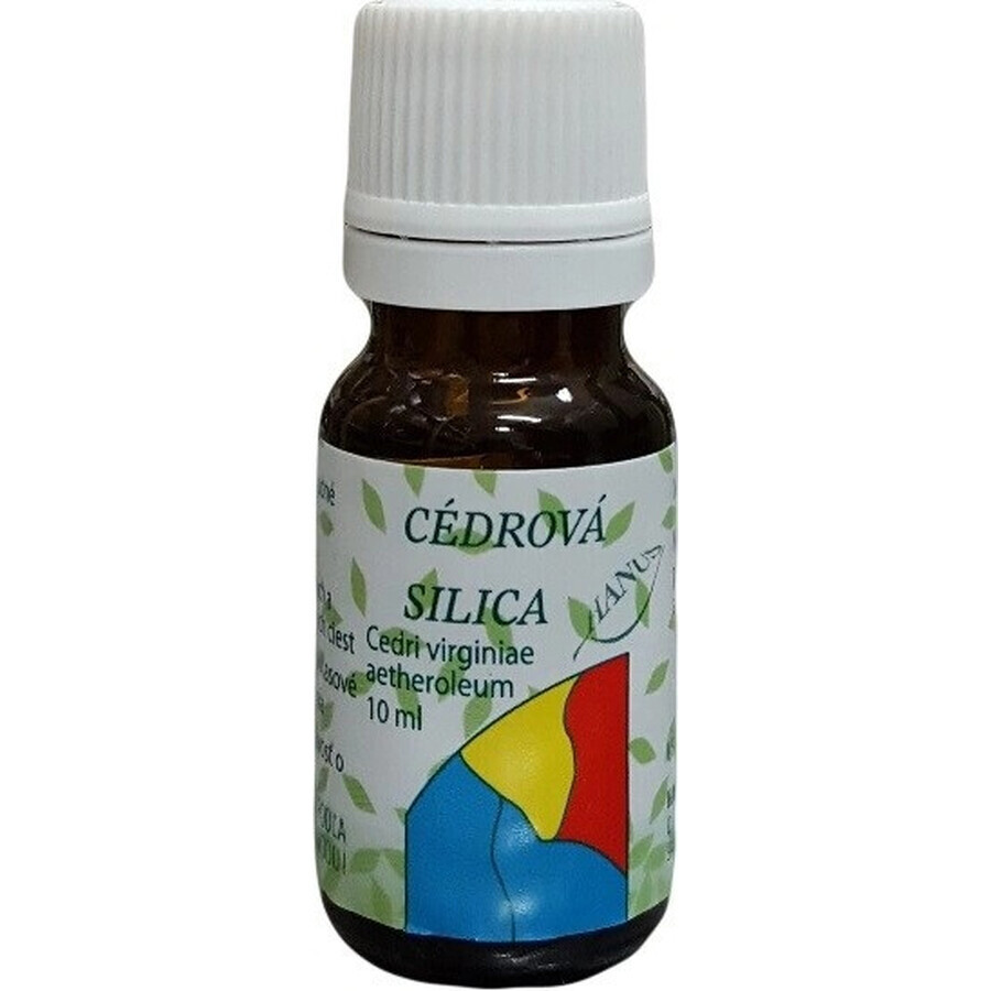 HANUS SILICA CEDAR 1×10 ml, olio essenziale