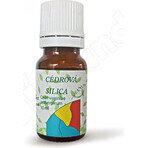 HANUS SILICA CEDAR 1×10 ml, olio essenziale