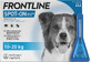 FRONTLINE spot-on per CANI M 3 x 1,34 ml 3x1,34 ml, soluzione per cani