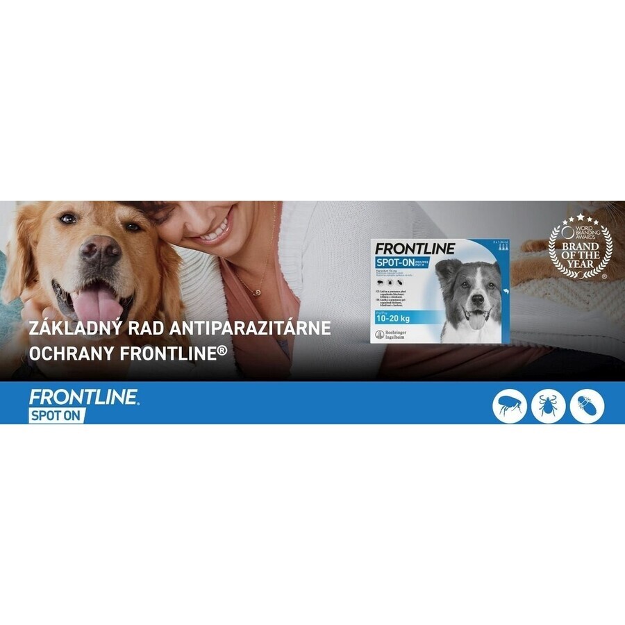 FRONTLINE spot-on per CANI M 3 x 1,34 ml 3x1,34 ml, soluzione per cani