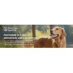 FRONTLINE spot-on per CANI M 3 x 1,34 ml 3x1,34 ml, soluzione per cani