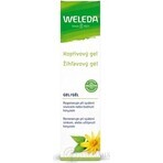 WELEDA Net Nettle Gel 1×25 g