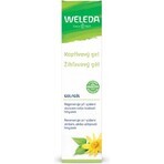 WELEDA Net Nettle Gel 1×25 g