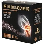 ORTHO COLLAGEN PLUS bustine 1x30 pz.