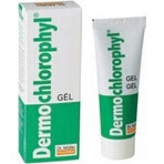 Dr. Müller DERMO CHLOROPHYL GEL 1×50 ml, gel per la pelle