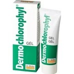 Dr. Müller DERMO CHLOROPHYL GEL 1×50 ml, gel per la pelle