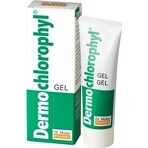 Dr. Müller DERMO CHLOROPHYL GEL 1×50 ml, gel per la pelle