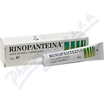 RINOPANTEIN Pommade nasale 1×10 g, pommade