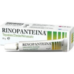 RINOPANTEIN Pommade nasale 1×10 g, pommade