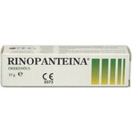 RINOPANTEIN Pommade nasale 1×10 g, pommade