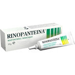 RINOPANTEIN Pommade nasale 1×10 g, pommade