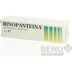 RINOPANTEIN Pommade nasale 1×10 g, pommade