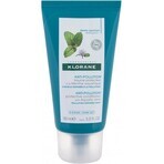 KLORANE BAUME À LA MENTHE 1×150 ml, haarconditioner met muntwater