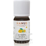 HANUS SILICA CITRONUM 1×10 ml, olio essenziale