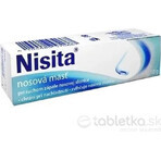 Nisita pommade nasale 1×10 g, pommade nasale