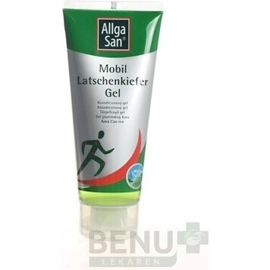 ALLGA SAN akut akut Gel antidolorifico 1×100 ml, gel analgesico