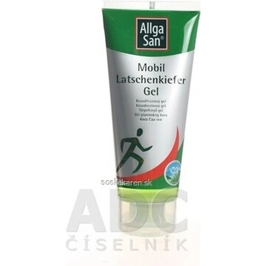 ALLGA SAN akut akut Gel antidolorifico 1×100 ml, gel analgesico