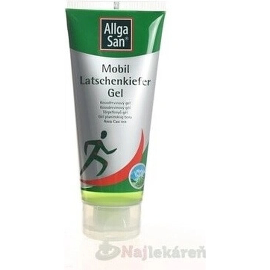 ALLGA SAN akut akut Gel antidolorifico 1×100 ml, gel analgesico