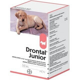 Drontal Junior 1×50 ml, sospensione orale per cani