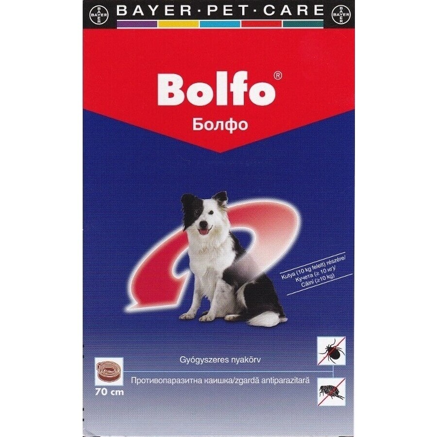 COLLARE BOLLARE 70CM PER CANI GRANDI A.U.V.V. 1×1 pz, collare antiparassitario