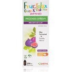 Fructolax Frucht- und Ballaststoffe SIRUP 1×250 ml, Sirup