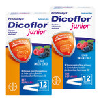 Dicoflor Junior, per bambini dai 3 anni e adulti, gusto frutti di bosco, 2 x 12 bustine